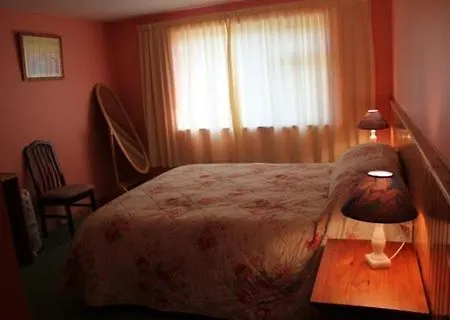 住宿加早餐酒店 Decourcey's Hazelbrook Cleggan