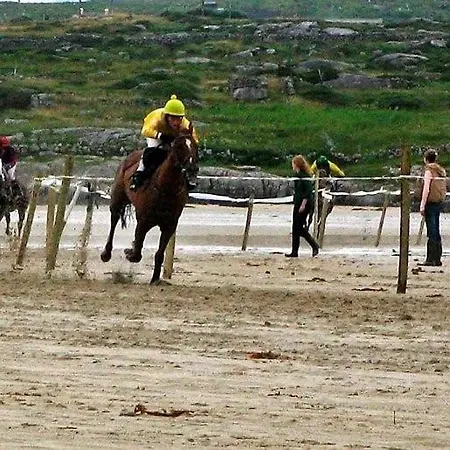 Decourcey's Hazelbrook Cleggan